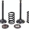 Cancanle Metal Engine Spring Retainer Set for Honda GX340-0