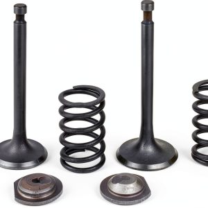 Cancanle Metal Engine Spring Retainer Set for Honda GX340-0