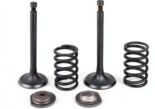 Cancanle Metal Engine Spring Retainer Set for Honda GX340-0