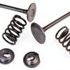 Cancanle Metal Engine Spring Retainer Set for Honda GX340-1