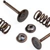 Cancanle Metal Engine Spring Retainer Set for Honda GX340-3