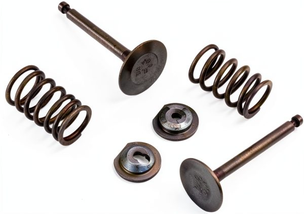 Cancanle Metal Engine Spring Retainer Set for Honda GX340-3